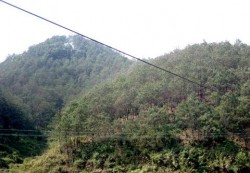 Cánh rừng cắt cho dự án cho nước ngoài thuê tại huyện Lộc Bình, tỉnh Lạng Sơn.