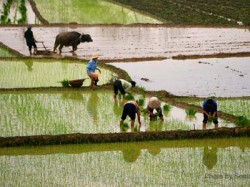 Đất đai thuộc sở hữu của toàn dân nhưng khi đặt câu hỏi "toàn dân" là ai thì câu trả lời lại quá sức mơ hồ.Ảnh dostquangtri.com