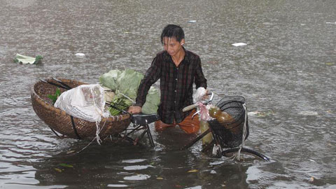 Cậu bé bán hoa giữa biển nước. Ảnh: Sa Tùng Sơn