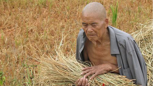 Một nông dân ở huyện Tĩnh Tây (Quảng Tây, Trung Quốc) bên ruộng lúa xơ xác vì nguồn nước đã bị ô nhiễm do chất thải từ Nhà máy khai thác bôxit Tín Phát ở nơi này - Ảnh: bbs.163.com