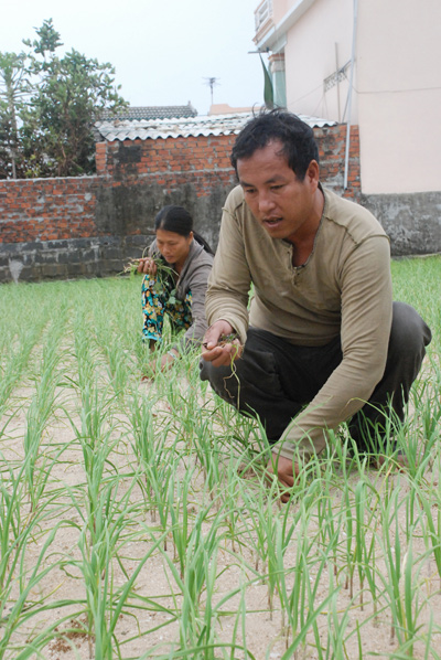 Con người không hề ngán vùng vẫy trên vùng biển Hoàng Sa giờ đang ngày ngày ra đồng giúp vợ trồng tỏi ở Lý Sơn. Ảnh: VT.